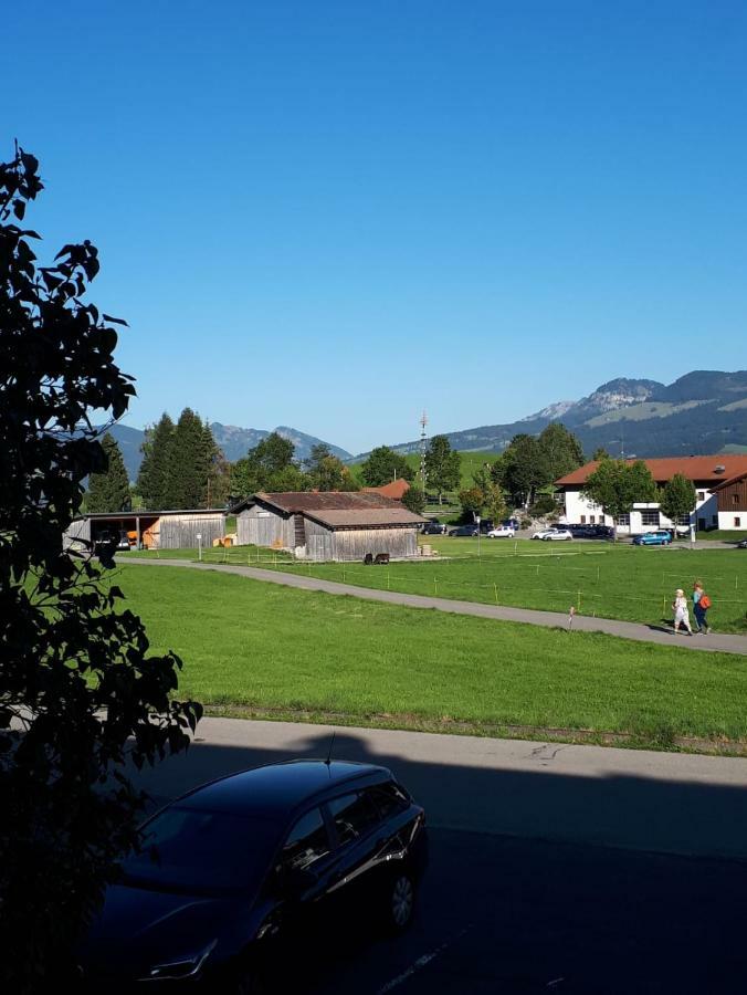 Bergblume * Bolsterlang